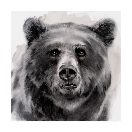 Jennifer Paxton Parker 'Bear Grin II' Canvas Art,35x35